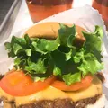 SHAKE SHACK（シェイクシャック） 東京国際フォーラム店の写真_116129