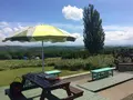 ケンとメリーの木の写真_116237