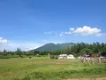 ひつじの丘の写真_116250