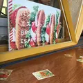 フツウニフルウツの写真_116276