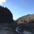大正池の写真_116384