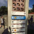 沖縄美ら海水族館の写真_116451