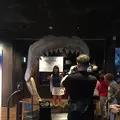 沖縄美ら海水族館の写真_116454