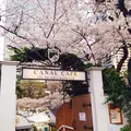 CANAL CAFE（カナルカフェ）の写真_116845