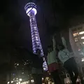 横浜マリンタワーの写真_117142