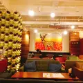 【閉店】鎌倉どんぶりカフェbowlsの写真_117144