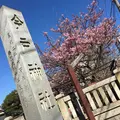 今戸神社の写真_117156
