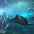新江ノ島水族館の写真_117197