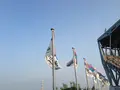 駅前不動産スタジアムの写真_117275