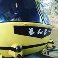 宝登山ロウバイ園の写真_117484