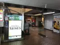 モーゼの写真_117804