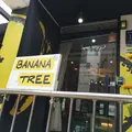 바나나트리の写真_118039