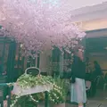 弘大Florte Flower Caféの写真_118069