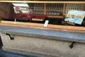 今西軒の写真_118153