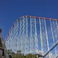 ナガシマスパーランドの写真_118315