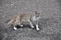 香焼町の写真_118468