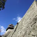 松山城の写真_118528