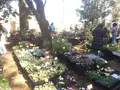 羽根木公園の写真_118717