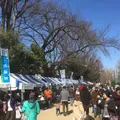羽根木公園の写真_118718