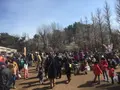 羽根木公園の写真_118719