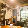 Cafeヒペリカムの写真_118914
