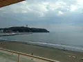 新江ノ島水族館の写真_119094