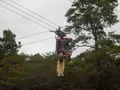 辻川山公園の写真_119276