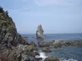 沼島の写真_119429
