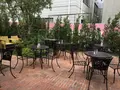 【閉業】Urth Caffe 表参道（アースカフェ）の写真_119599