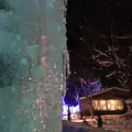 氷点下の森の写真_119731