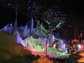 氷点下の森の写真_119732