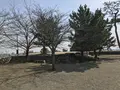 松坂城跡（松阪公園）の写真_120098