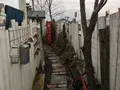 ガレットの写真_120183