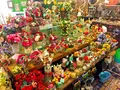 サンクチュアリーの写真_120215