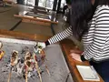 高森田楽村の写真_120422