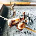 高森田楽村の写真_120426