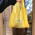 サンクチュアリの写真_120512