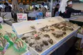 ピアBandai万代島鮮魚センターの写真_120682