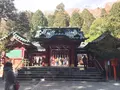 箱根神社の写真_120753