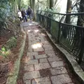 箱根神社の写真_120754