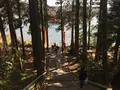 箱根神社の写真_120755