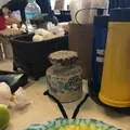 首里琉染の写真_120848