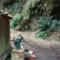 たからの窯の写真_120919
