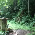 たからの窯の写真_120920