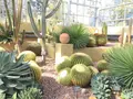 はままつフラワーパークの写真_121715