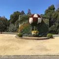 はままつフラワーパークの写真_121717