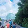 葛西臨海公園の写真_121779