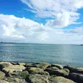 葛西臨海公園の写真_121785