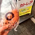 カトレアの写真_121883