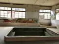 転車台・鉄道歴史館　天竜二俣駅構内の写真_122325
